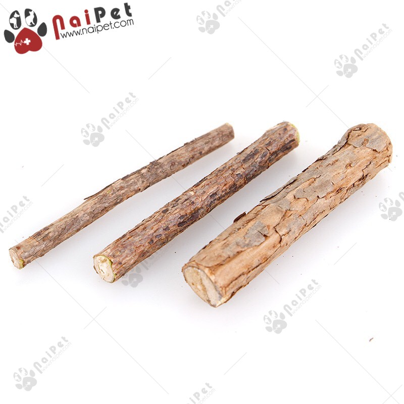 Que Gỗ Catnip Bạc Hà Gặm Sạch Răng Cho Mèo CCN010