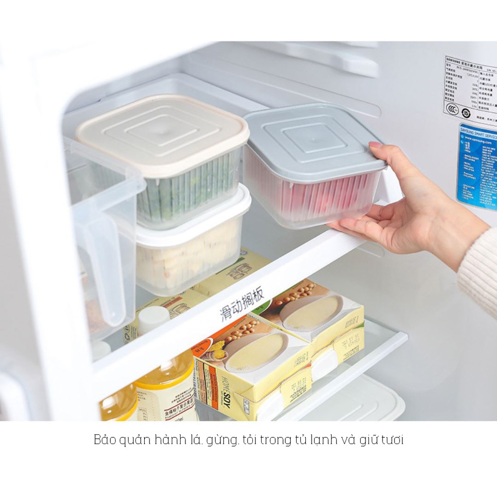 Hộp Đựng Thức Ăn - Hộp Bảo Quản Thực Phẩm Tủ Lạnh – Hộp Bảo Quản Có Rổ GB018