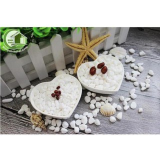 1kg đá sỏi màu trắng lớn - đá  trang trí trồng cây - trang trí bể cá - sân vườn