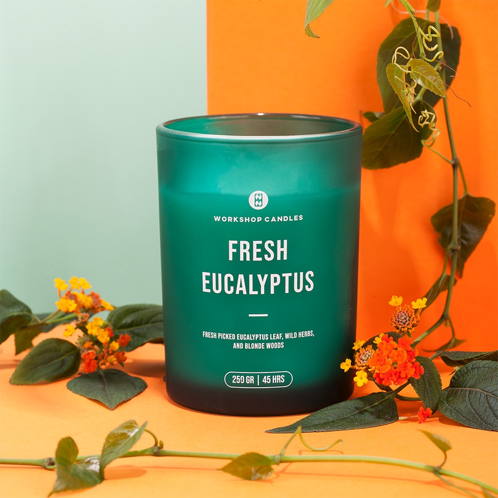 [Mã BMBAU50 giảm 10% đơn 99k] Nến thơm Mint Eucalyptus Workshop Candles H&amp;H Home 8 oz hương bạc hà tươi mát