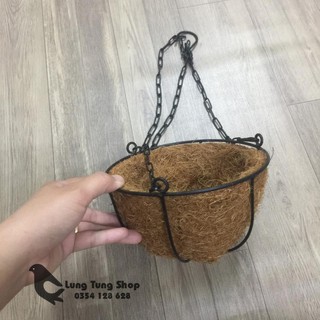 Chậu treo sơ dừa khung sắt - nhiều kích thước , chậu trồng dâu tây