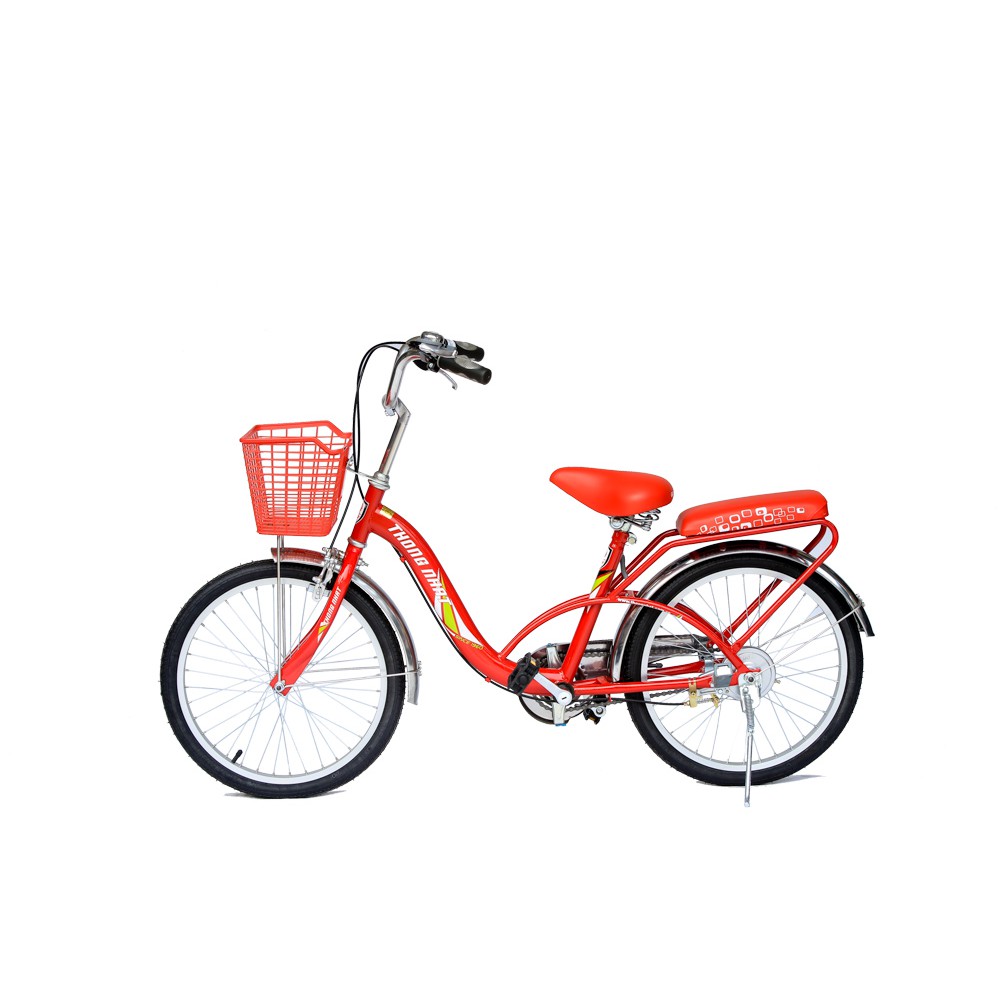 Xe đạp thống nhất ( TN TE 20-03+02 NEO )