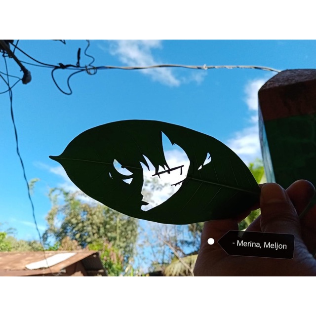 Áo Thun One Piece - Anime