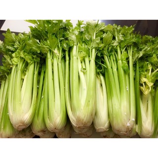 Hạt Giống Cần Tây Mỹ (3000 Hạt) - Dinh Dưỡng, Năng Suất Cao - MUA 3 TẶNG 1 CÙNG LOẠI