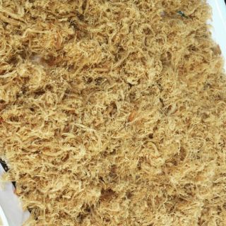 100GRam CHÀ BÔNG - RUỐT HEO SẤY
