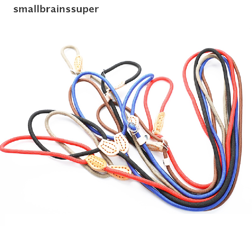 Dây Dắt Thú Cưng Đi Dạo Bằng Nilon Có Dây Xích Chống Trượt