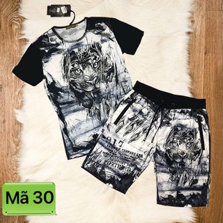 BỘ NAM 3D HÈ CAO CẤP mã 30 ( Hổ Trắng )