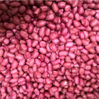 Hạt lạc đỏ, chuẩn, chất lượng