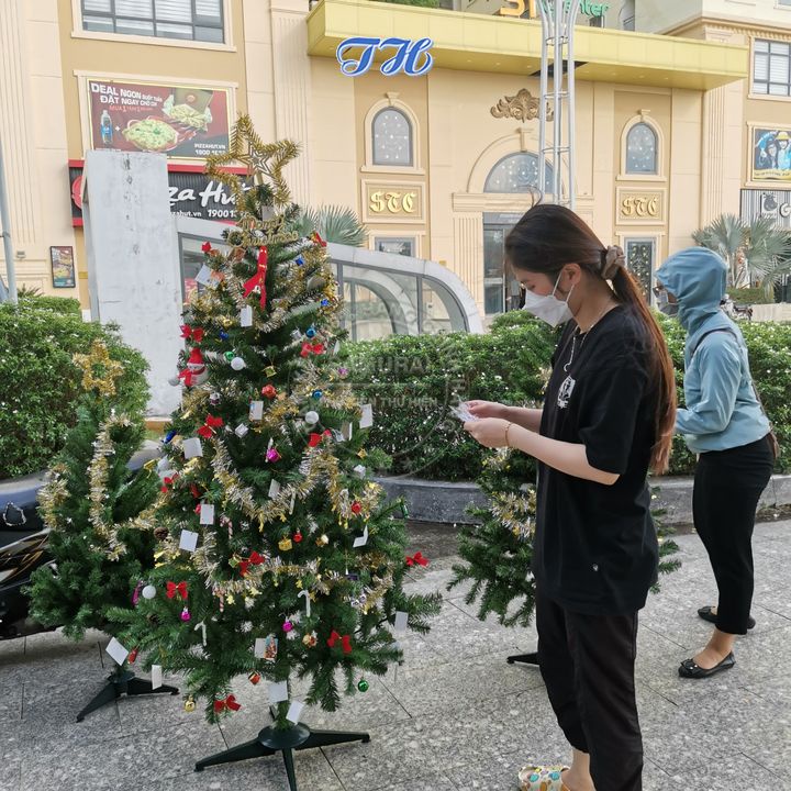 HỎA TỐC HCM Cây thông noel 1m5 , 1m8 trang trí giáng sinh Full phụ kiện trang trí