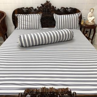 Bộ drap thun hàn quốc 4 món
