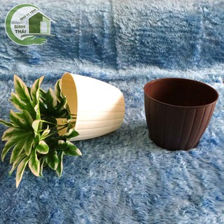 Chậu nhựa trồng cây giả gỗ