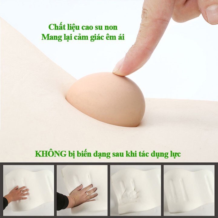 Bộ gối tựa đầu, tựa lưng caosu non thiên nhiên cao cấp- 1 bộ