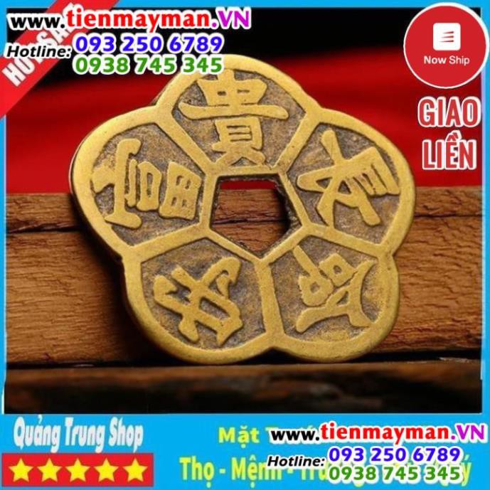 Đồng Tiền Hoa Mai ⭐FREESHIP⭐ Kim Tiền Tài Lộc | BigBuy360 - bigbuy360.vn