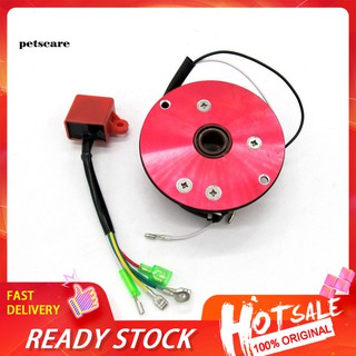 PET_Metal Magneto Stator Rotor CDI for 110cc 125cc 140cc Engine Lifan Dirt Pit Bike