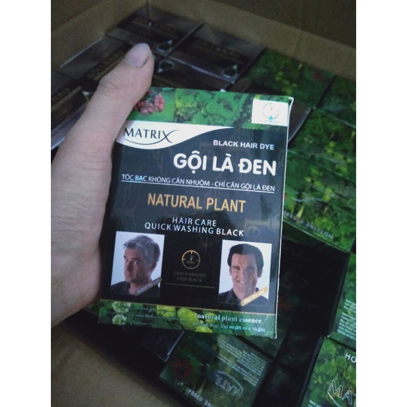 Matrix Gội là Đen tóc