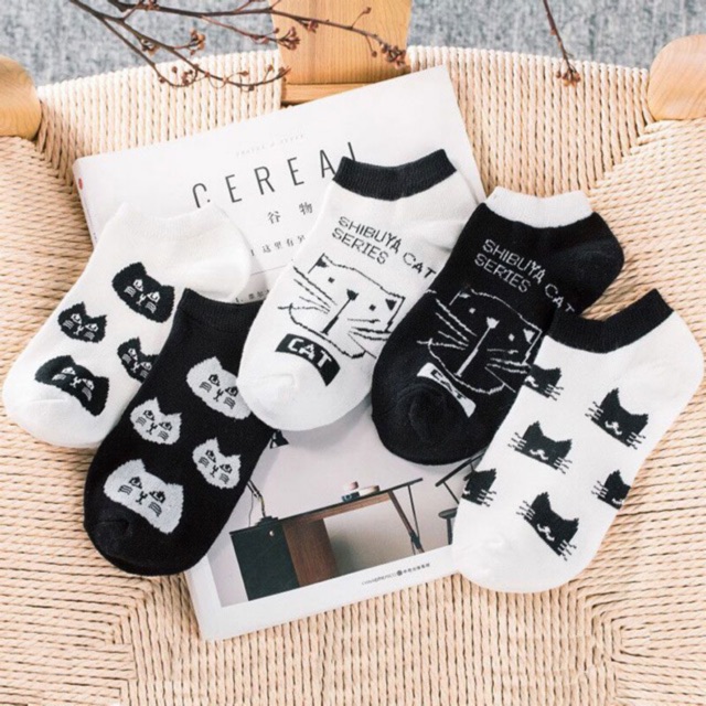 Combo 5 đôi vớ cổ ngắn