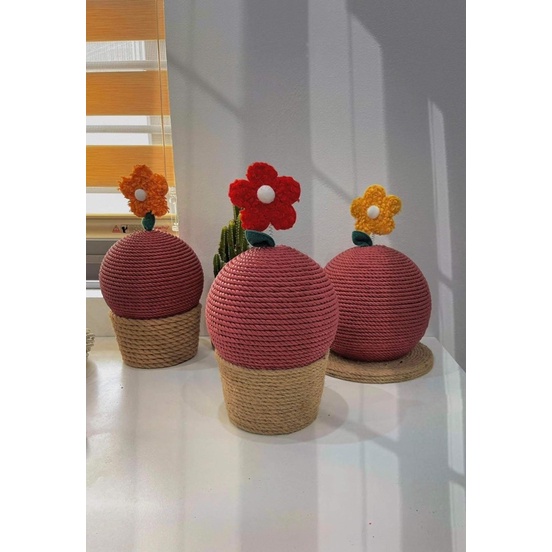 BÀN CÀO MÓNG CHO MÈO CAO CẤP HÌNH CÂY XƯƠNG RỒNG