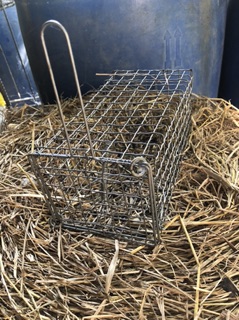 Lồng Bẫy chuột - bẫy sóc