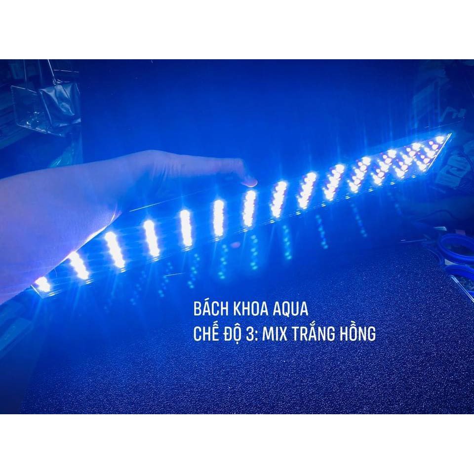 Led 5 hàng QuanLong đặc biệt đổi màu ánh sáng Hồng