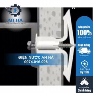 Tắc kê bướm 100 con