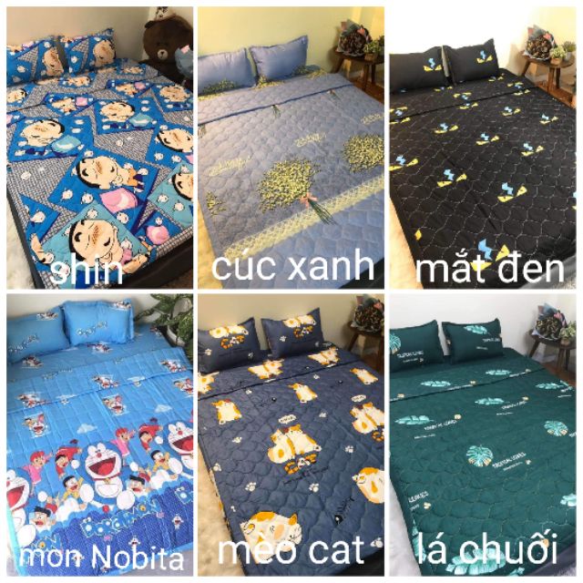 Bộ chăn hè trần bông ga gối 5 món poly cotton hàng loại 1 được chọn mẫu | WebRaoVat - webraovat.net.vn