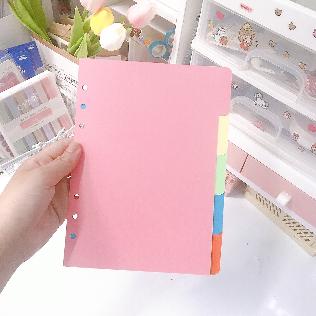 TAB PHÂN TRANG BÌA PHÂN MỤC A5 6 LỖ