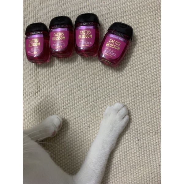 Gel/ nước rửa tay khô Bath and Body Works (nhiều mùi) | BigBuy360 - bigbuy360.vn
