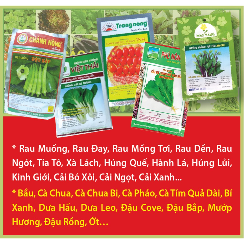 Hạt giống các loại Rau