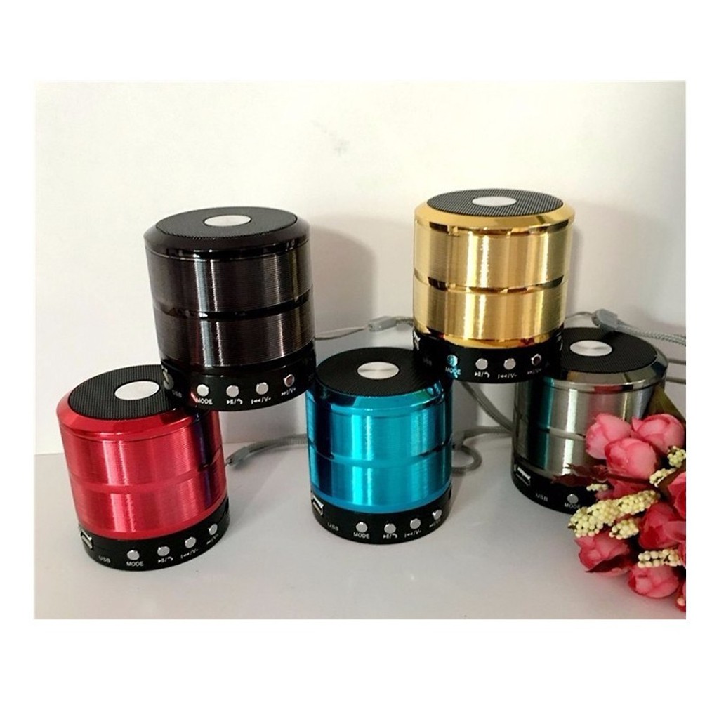 Loa bluetooth WS-887