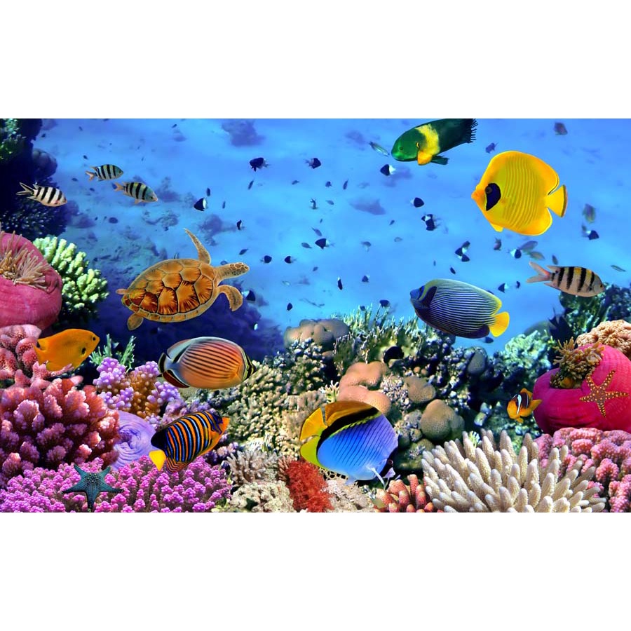 Tranh Dán Tường Thế Giới Đại Dương 3D Nhiều Kích Thước