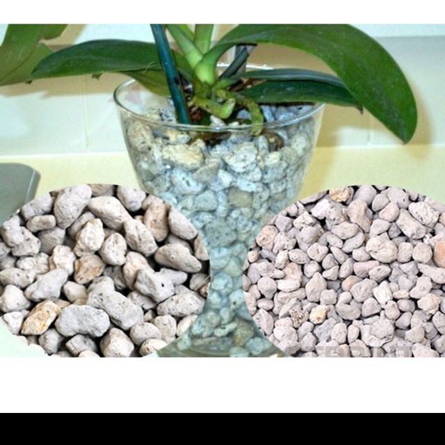 1 kg đá thấm thuỷ( đá bọt)