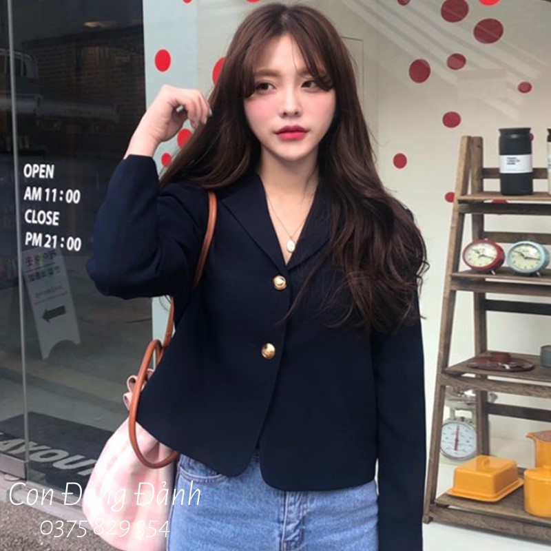 (Mã FL giảm 20k) AO018 Áo khoác blazers nữ mỏng cài 2 khuy form gọn dáng Hàn Quốc công sở thanh lịch | BigBuy360 - bigbuy360.vn