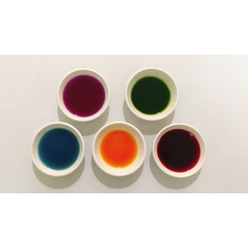 Màu thực phẩm dạng dầu đủ màu chai 100g