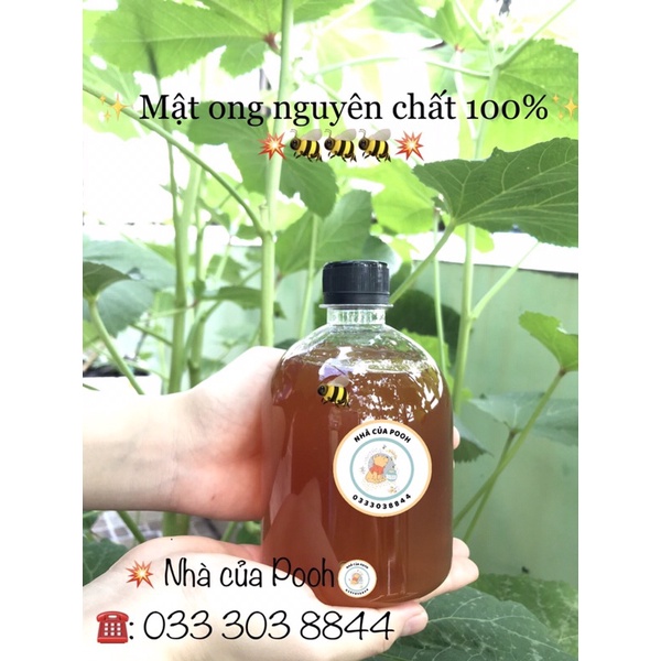 Mật ong nguyên chất 100% - Mật hoa cà phê Đắk Lắk 500ml