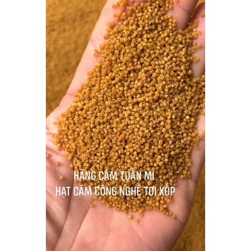 CÁM HOẠ MI CÔNG LỬA SỐ 2 TUẤN MI