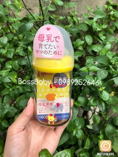 Bình Pigeon Thái Lan 160ml/240ml