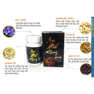 An Phế Khang – Hỗ Trợ Điều Trị Viêm Họng, Viêm Họng Hạt, Viêm Amidan