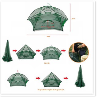 Lưới bát quái chuyên đánh bắt cá (8 lỗ)