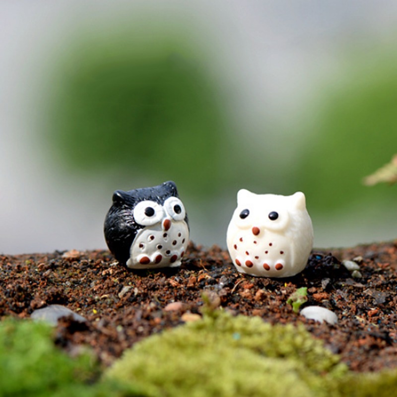 1 Đồ trang trí Chim Cú Trang Trí Vườn Cây Bonsai