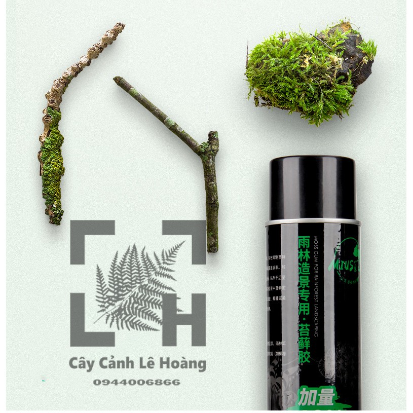 Keo xịt dán rêu Mius ( Thủy sinh , bán cạn )