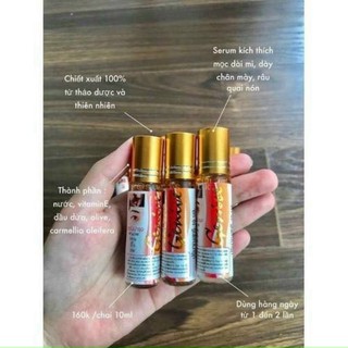 LĂN KÍCH THÍCH MỌC MI, MỌC RÂU, CHÂN MÀY THÁI LAN