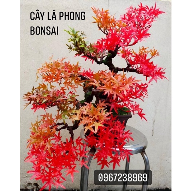 Cành lá phong 4 màu làm cây trang trí,cây bonsai handmade, lá tùng