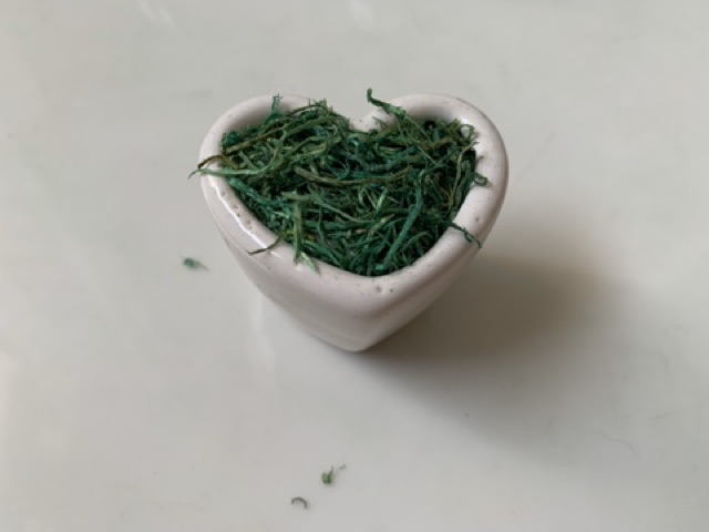 Chậu hoa sứ mini