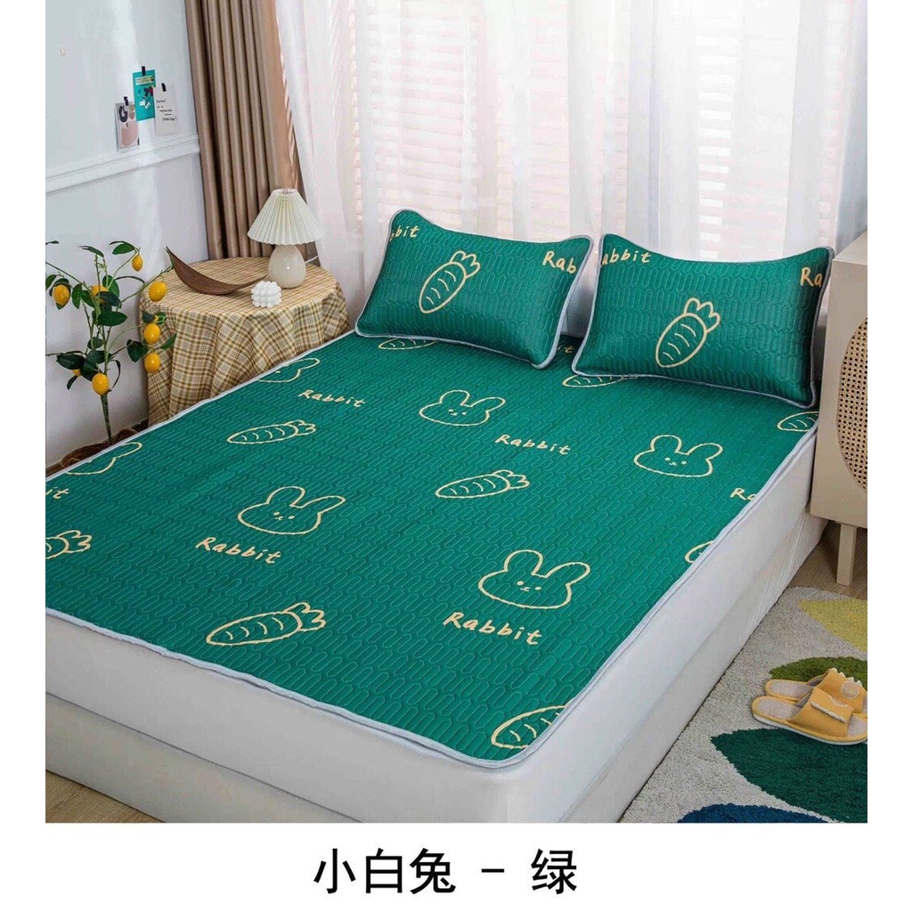 Chiếu điều hòa cao su non 3d Latex thông minh ga trải giường đủ size tặng 2 vỏ gối cùng màu có túi zip bọc nệm đệm đẹp