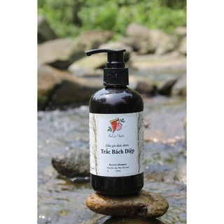 Dầu gội Trắc Bách Diệp - 250ml
