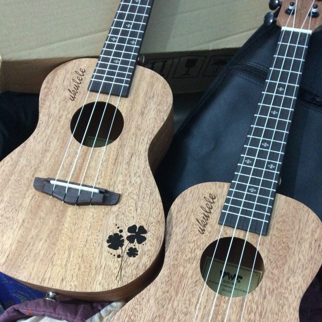 Ukulele concert