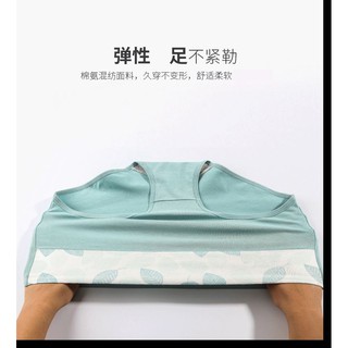 Quần lot môi hộp 4c