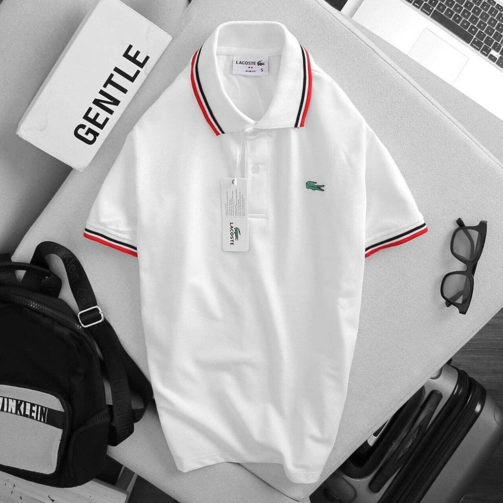 Hè Áo POLO Nam LACOSTE Cá Sấu Cotton Cổ bẻ trẻ trung hiện đại  ༷