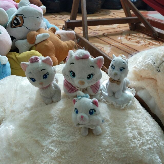 Gấu của tài