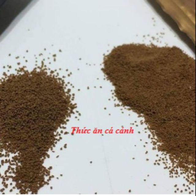 Cám padora back 50g, 100g